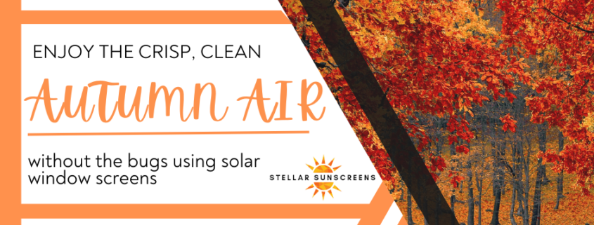 enjoy the crisp clean autumn air without the bugs using solar window screens | Stellar Sunscreens