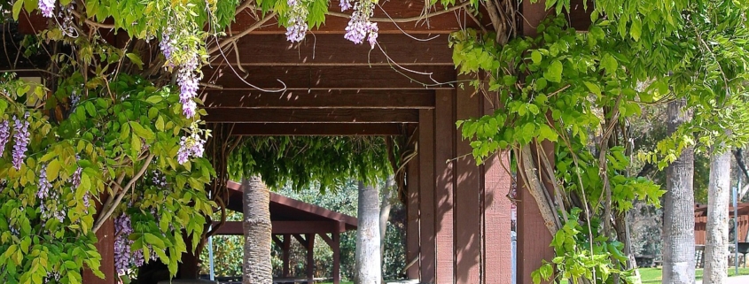 outdoor patio shades